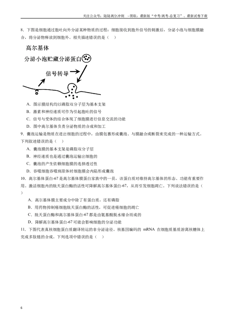 《专题02细胞的结构和功能（原卷版）_06-生物-高考总复习_专项复习_2024年_2024年高考生物经典小题必刷_资料》第6页预览