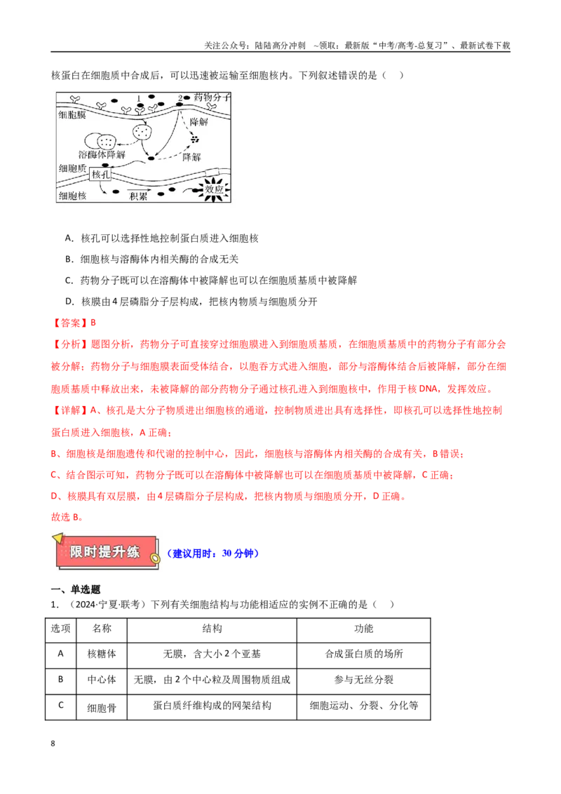 《专题02细胞的结构基础（解析版）_06-生物-高考总复习_专项复习_2025年_2025年高考生物重难点讲义专练（西北四省专用）》第8页预览