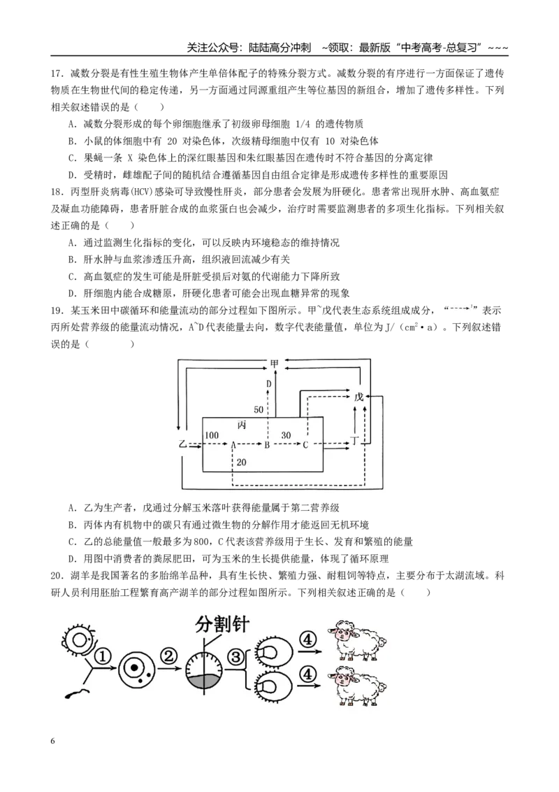 《一轮复习收官卷2（15+5+5）（学生版）（全国通用）_06-生物-高考总复习_一轮复习_2026年-生物高考一轮复习_2026年高考生物一轮复习讲义+练习+课件（新教材新高考）-G55_2026版_一轮收官卷》第6页预览