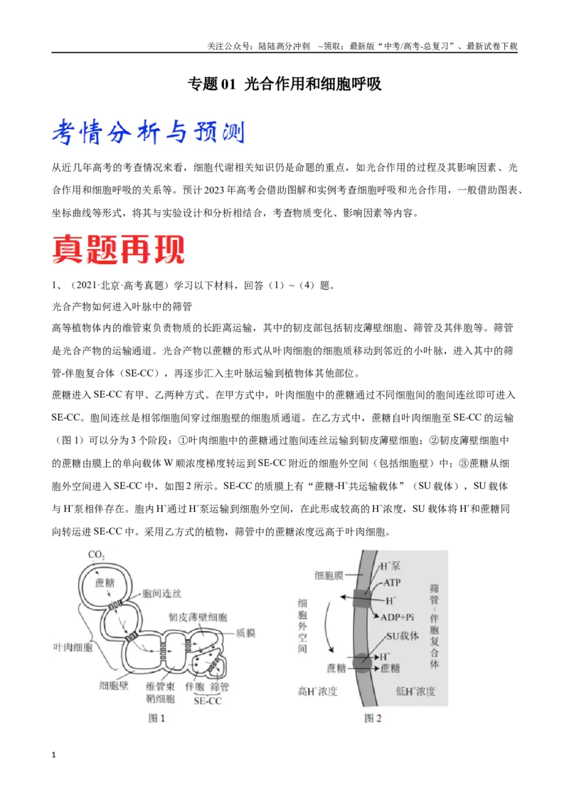《专题01光合作用和细胞呼吸（北京卷）（解析版）_06-生物-高考总复习_专项复习_2024年_2024年高考生物考前大题秒杀技巧及专项训练_资料》第1页预览