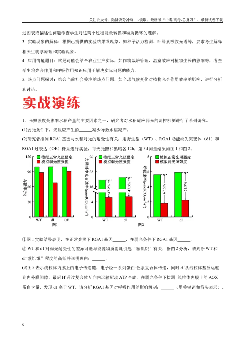 《专题01光合作用和细胞呼吸（北京卷）（解析版）_06-生物-高考总复习_专项复习_2024年_2024年高考生物考前大题秒杀技巧及专项训练_资料》第5页预览