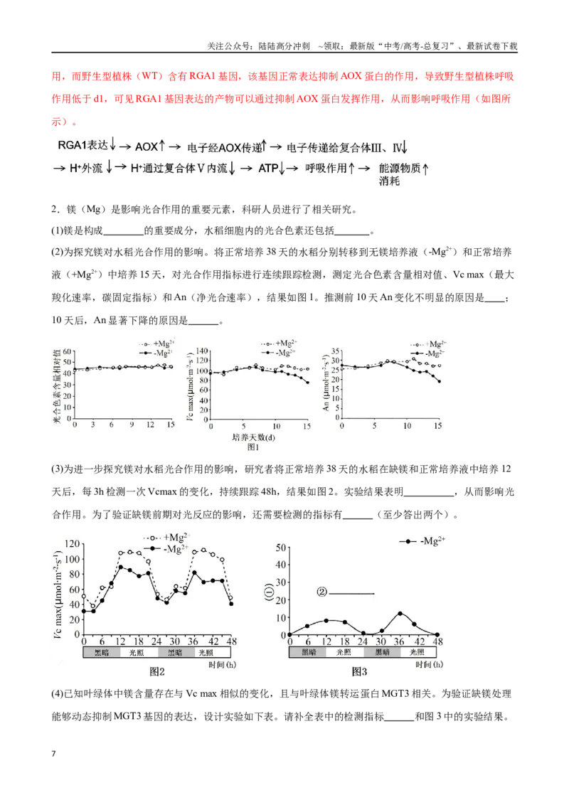 《专题01光合作用和细胞呼吸（北京卷）（解析版）_06-生物-高考总复习_专项复习_2024年_2024年高考生物考前大题秒杀技巧及专项训练_资料》第7页预览