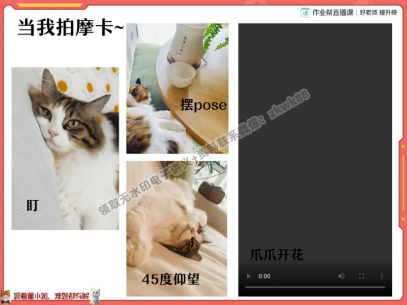 《27.课堂笔记主讲课中笔记_2025初一网课_25初一语文_25初一董俣语文（作业帮）_秋季上-暑假班A+_课堂笔记》第4页预览