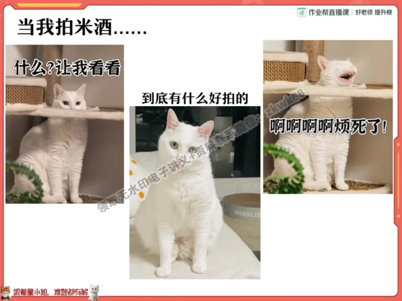 《27.课堂笔记主讲课中笔记_2025初一网课_25初一语文_25初一董俣语文（作业帮）_秋季上-暑假班A+_课堂笔记》第5页预览