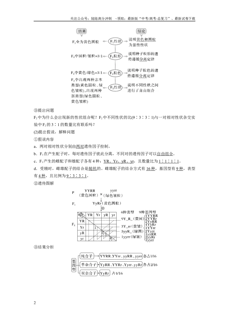《2024年高考生物一轮复习（新人教版）第5单元　第4课时　自由组合定律的发现及应用_06-生物-高考总复习_一轮复习_2024年_2024高考生物大一轮复习课件讲义新人教版知识总结_教师版》第2页预览
