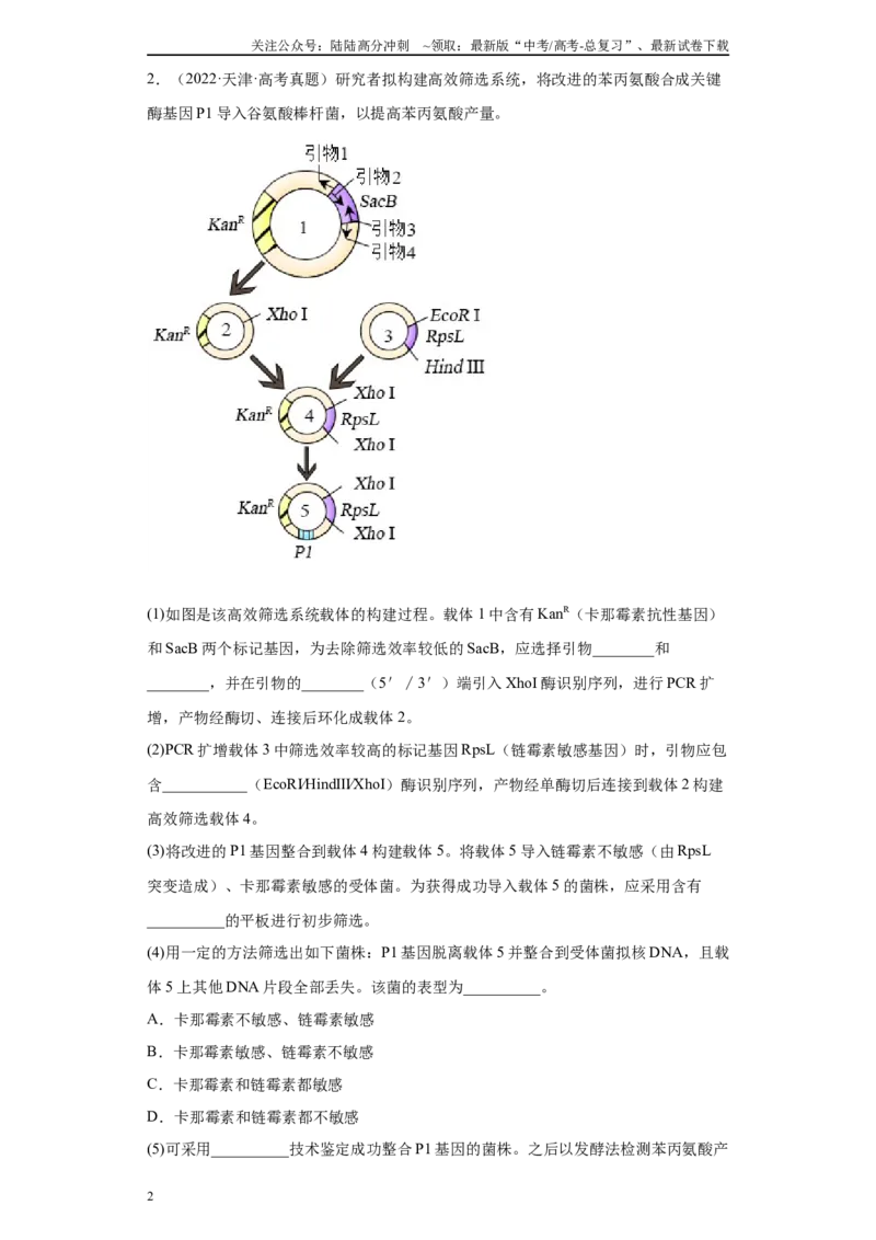 《05生物技术与工程综合题（20）(原卷版)_06-生物-高考总复习_专项复习_2024年_2024年高考生物学总复习高频考点必刷900题高考题_资料》第2页预览