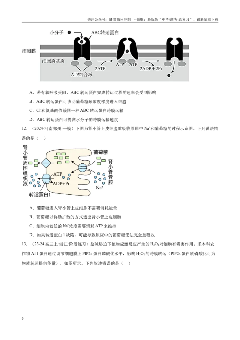 《专题02物质出入细胞的方式（原卷版）_06-生物-高考总复习_专项复习_2024年_2024年高考生物重难压轴题型考前终极押题_资料》第6页预览