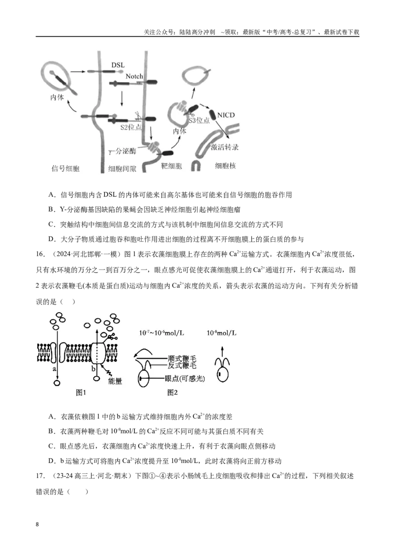 《专题02物质出入细胞的方式（原卷版）_06-生物-高考总复习_专项复习_2024年_2024年高考生物重难压轴题型考前终极押题_资料》第8页预览