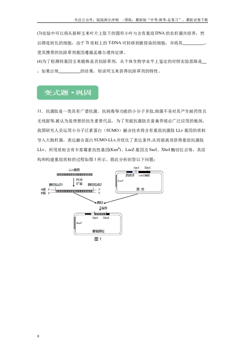 《2024年全国甲卷理综生物高考真题试卷变式题10-12_06-生物-高考总复习_专项复习_2024年_2024年生物真题变式题》第9页预览