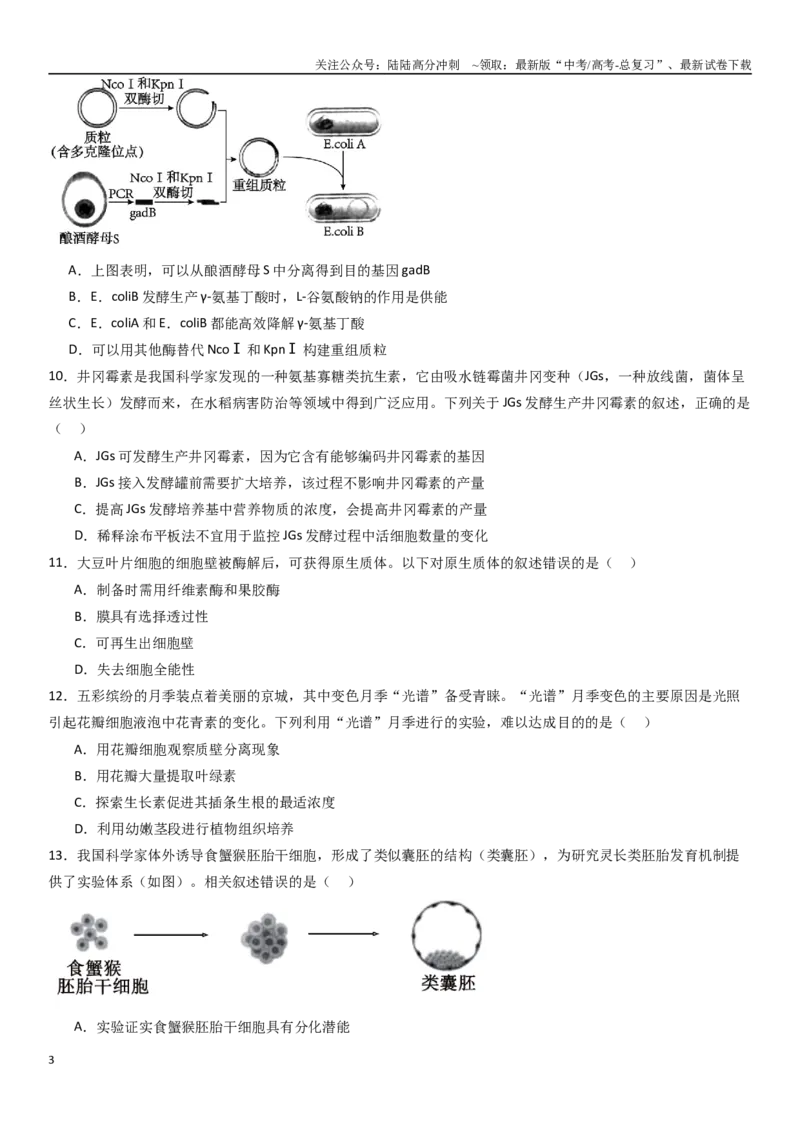 《专练09生物技术与工程（50题）（学生版）_06-生物-高考总复习_专项复习_2024年_2024年新高考生物总复习高频考点必刷800题_2025版》第3页预览