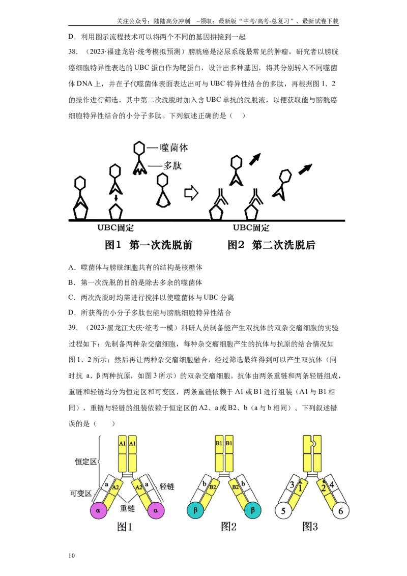 《09生物技术与工程（单选60）(原卷版)_06-生物-高考总复习_专项复习_2024年_2024年高考生物学总复习高频考点必刷900题高考题_资料》第10页预览