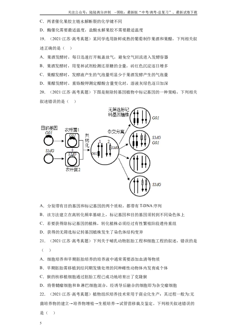 《09生物技术与工程（单选60）(原卷版)_06-生物-高考总复习_专项复习_2024年_2024年高考生物学总复习高频考点必刷900题高考题_资料》第5页预览