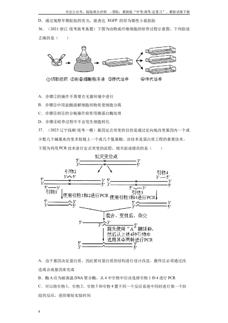 《09生物技术与工程（单选60）(原卷版)_06-生物-高考总复习_专项复习_2024年_2024年高考生物学总复习高频考点必刷900题高考题_资料》第9页预览