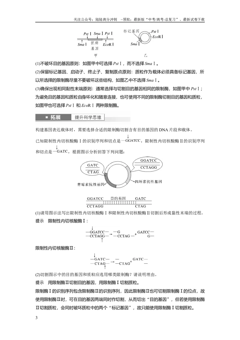 《2024年高考生物一轮复习（新人教版）第10单元　第6课时　基因工程的基本工具和基本操作程序_06-生物-高考总复习_一轮复习_2024年_2024高考生物大一轮复习课件讲义新人教版知识总结》第3页预览