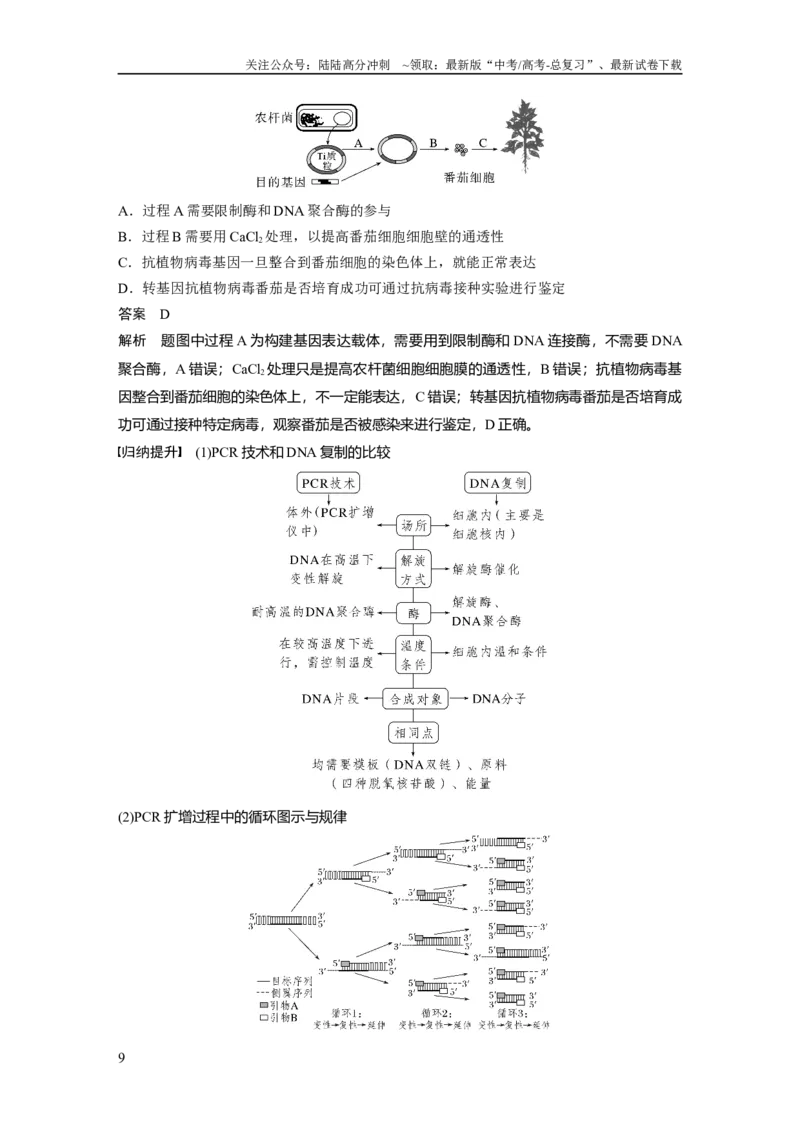 《2024年高考生物一轮复习（新人教版）第10单元　第6课时　基因工程的基本工具和基本操作程序_06-生物-高考总复习_一轮复习_2024年_2024高考生物大一轮复习课件讲义新人教版知识总结》第9页预览