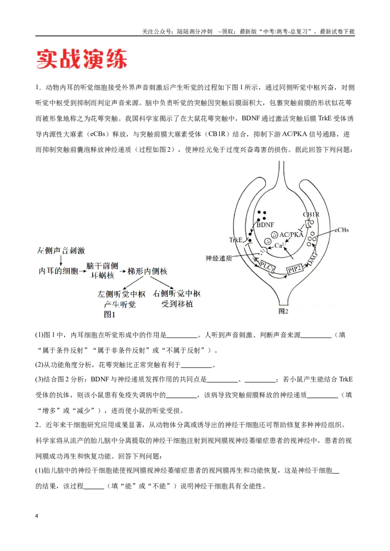 《专题02生命活动的调节（河北卷）（原卷版）_06-生物-高考总复习_专项复习_2024年_2024年高考生物考前大题秒杀技巧及专项训练_资料》第4页预览