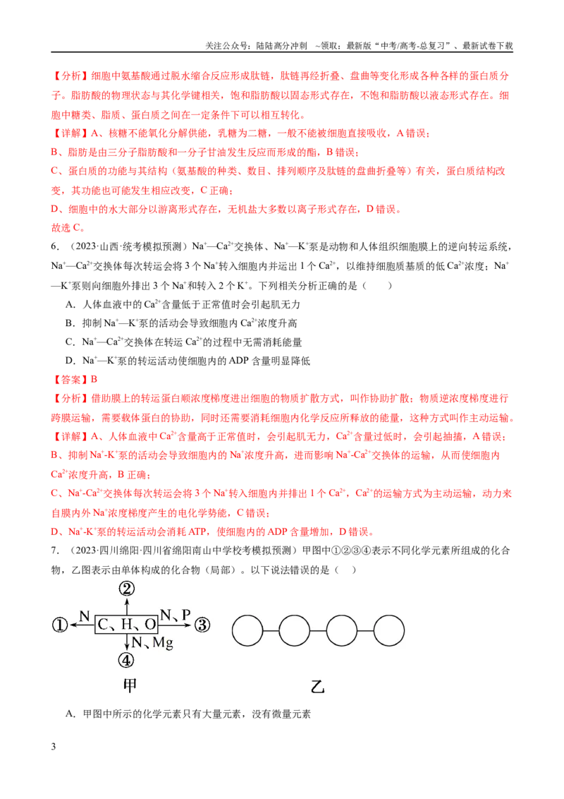 《专题01细胞的分子组成、结构和物质运输（分层练）（解析版）_06-生物-高考总复习_二轮复习_2024年_2024年高考生物二轮复习高频考点追踪与预测（新高考专用）_分层练》第3页预览