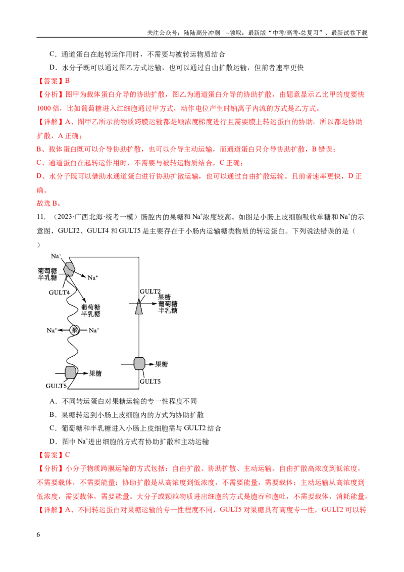《专题01细胞的分子组成、结构和物质运输（分层练）（解析版）_06-生物-高考总复习_二轮复习_2024年_2024年高考生物二轮复习高频考点追踪与预测（新高考专用）_分层练》第6页预览