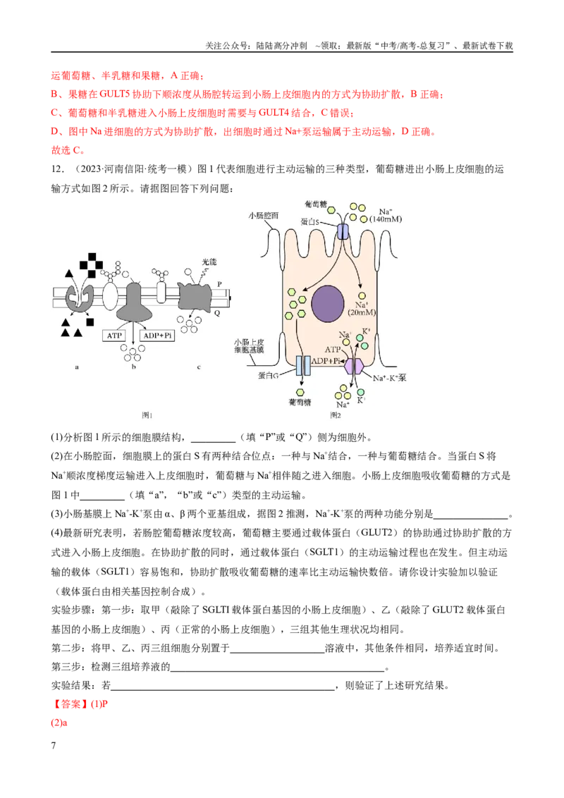《专题01细胞的分子组成、结构和物质运输（分层练）（解析版）_06-生物-高考总复习_二轮复习_2024年_2024年高考生物二轮复习高频考点追踪与预测（新高考专用）_分层练》第7页预览