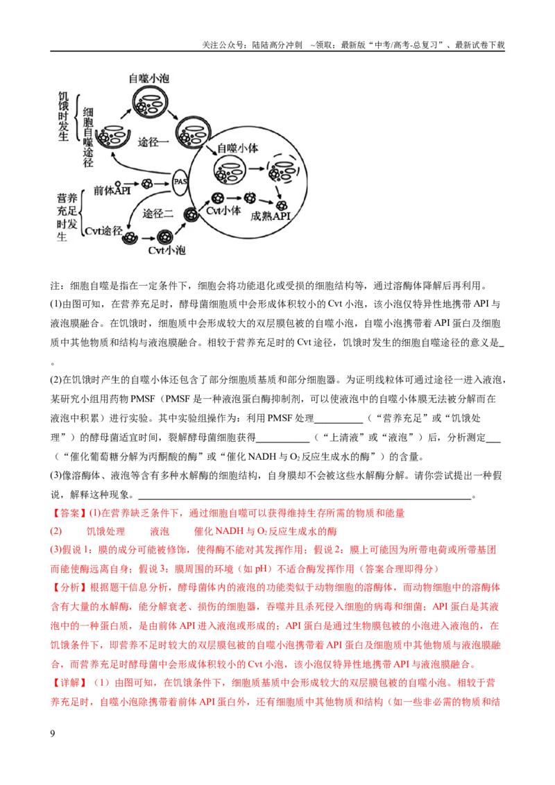 《专题01细胞的分子组成、结构和物质运输（分层练）（解析版）_06-生物-高考总复习_二轮复习_2024年_2024年高考生物二轮复习高频考点追踪与预测（新高考专用）_分层练》第9页预览