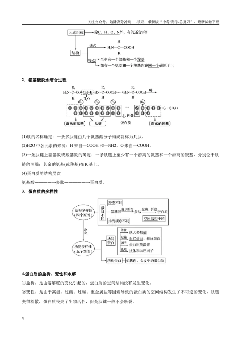 《专题01组成细胞的分子（教师版）_06-生物-高考总复习_专项复习_2024年_2024年高考生物总复习核心题型解读与全攻略新教材_资料》第4页预览