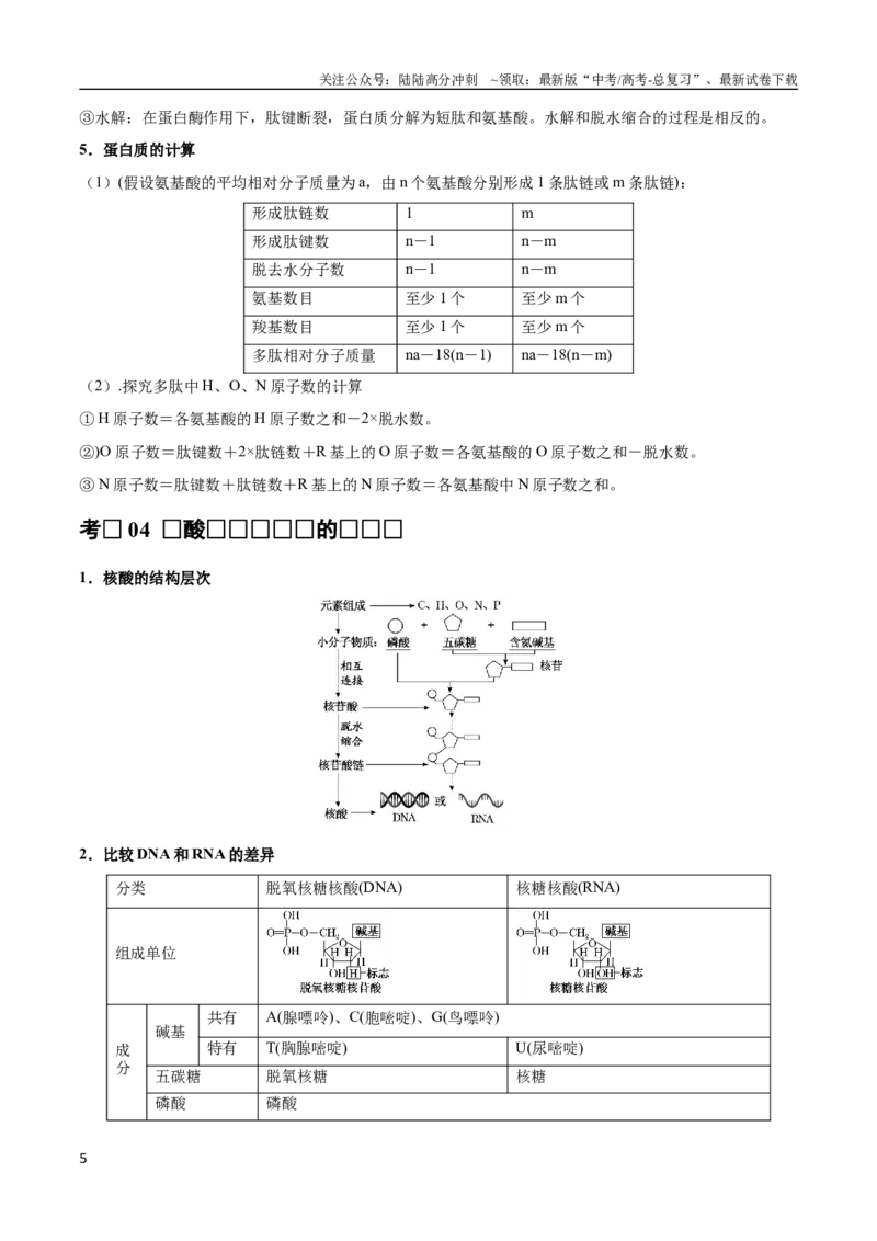 《专题01组成细胞的分子（教师版）_06-生物-高考总复习_专项复习_2024年_2024年高考生物总复习核心题型解读与全攻略新教材_资料》第5页预览