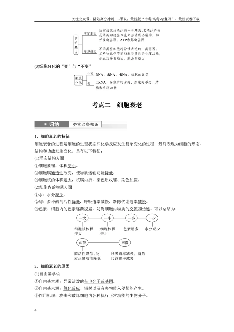 《2024年高考生物一轮复习（新人教版）第4单元　第5课时　细胞的分化、衰老和死亡_06-生物-高考总复习_一轮复习_2024年_2024高考生物大一轮复习课件讲义新人教版知识总结_教师版》第4页预览