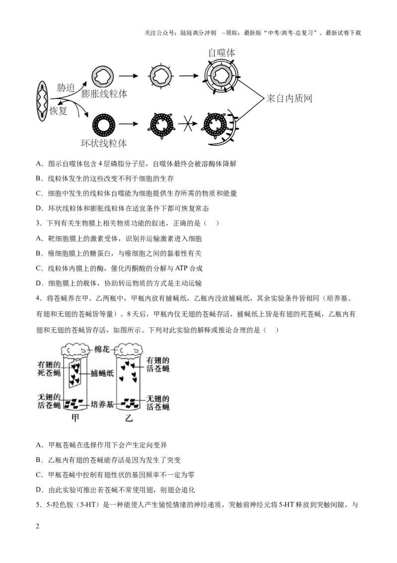 《2023年高考押题预测卷01（辽宁卷）-生物（考试版）_06-生物-高考总复习_专项复习_2024年_2023年高考押题预测卷01生物》第2页预览