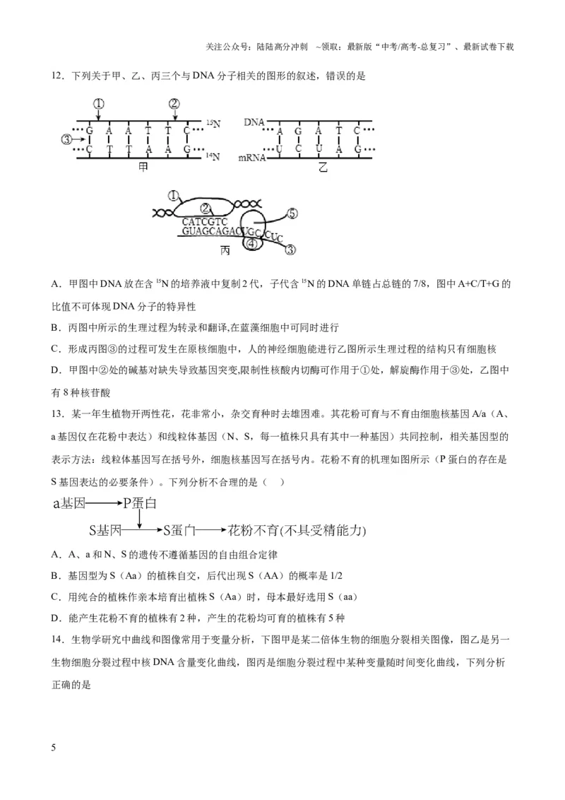 《2023年高考押题预测卷01（辽宁卷）-生物（考试版）_06-生物-高考总复习_专项复习_2024年_2023年高考押题预测卷01生物》第5页预览