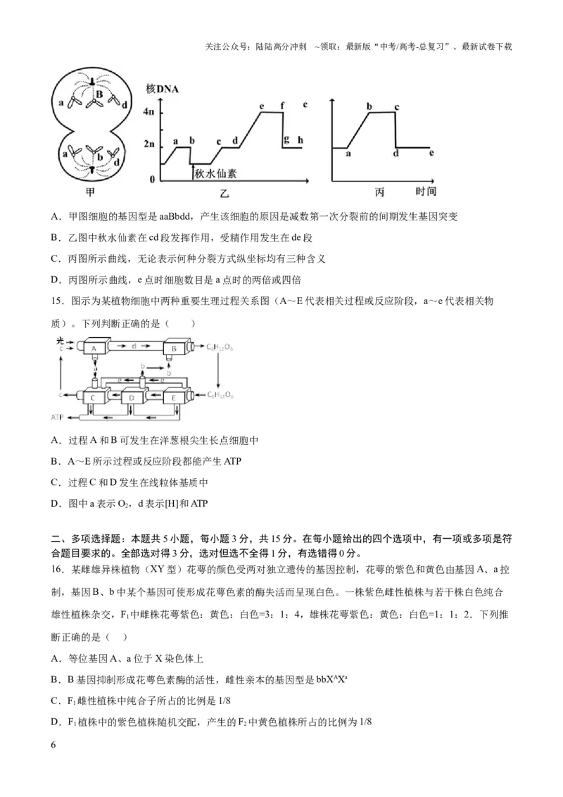 《2023年高考押题预测卷01（辽宁卷）-生物（考试版）_06-生物-高考总复习_专项复习_2024年_2023年高考押题预测卷01生物》第6页预览
