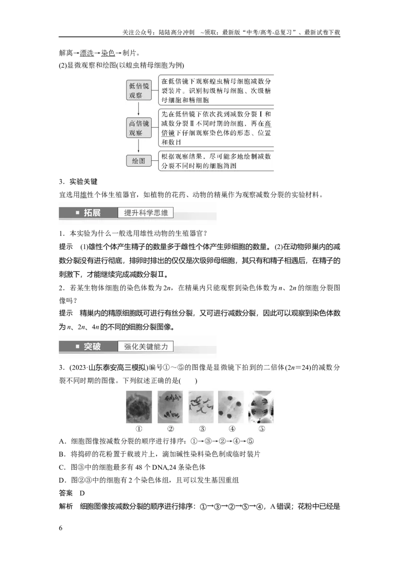 《2024年高考生物一轮复习（新人教版）第4单元　第4课时　减数分裂与有丝分裂的比较及观察蝗虫精母细胞减数分裂装片_06-生物-高考总复习_一轮复习_2024年_教师版》第6页预览