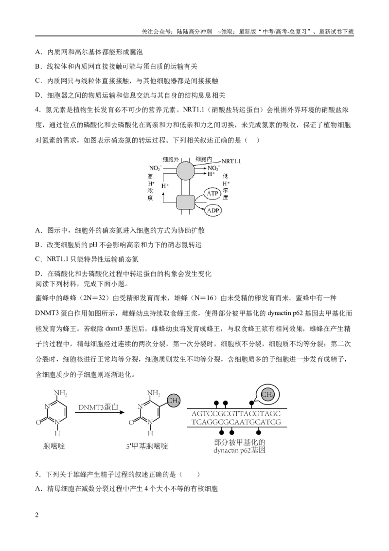 《2023年高考押题预测卷01—生物（考试版）_06-生物-高考总复习_专项复习_2024年_2023年高考押题预测卷01生物_999》第2页预览