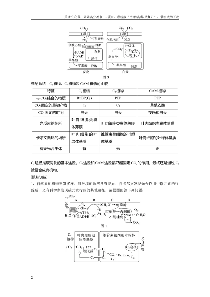 《2024年高考生物一轮复习（新人教版）第3单元　解惑练1　C3植物、C4植物和CAM植物_06-生物-高考总复习_一轮复习_2024年_2024高考生物大一轮复习课件讲义新人教版知识总结_教师版》第2页预览