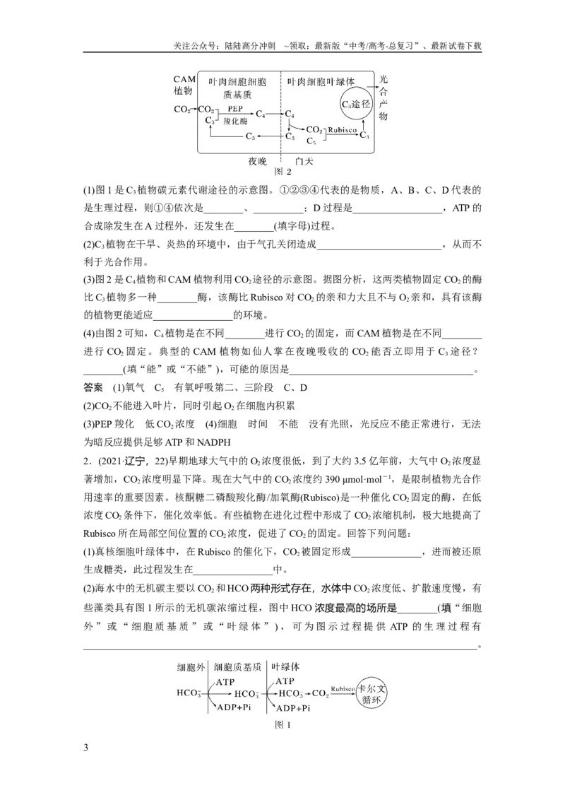 《2024年高考生物一轮复习（新人教版）第3单元　解惑练1　C3植物、C4植物和CAM植物_06-生物-高考总复习_一轮复习_2024年_2024高考生物大一轮复习课件讲义新人教版知识总结_教师版》第3页预览