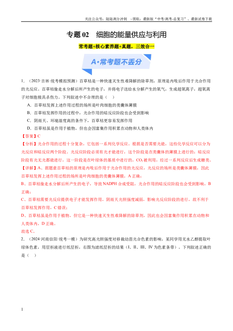 《专题02细胞的能量供应与利用（分层练）（解析版）_06-生物-高考总复习_二轮复习_2024年_2024年高考生物二轮复习高频考点追踪与预测（新高考专用）_分层练_教师版（含答案解析）》第1页预览