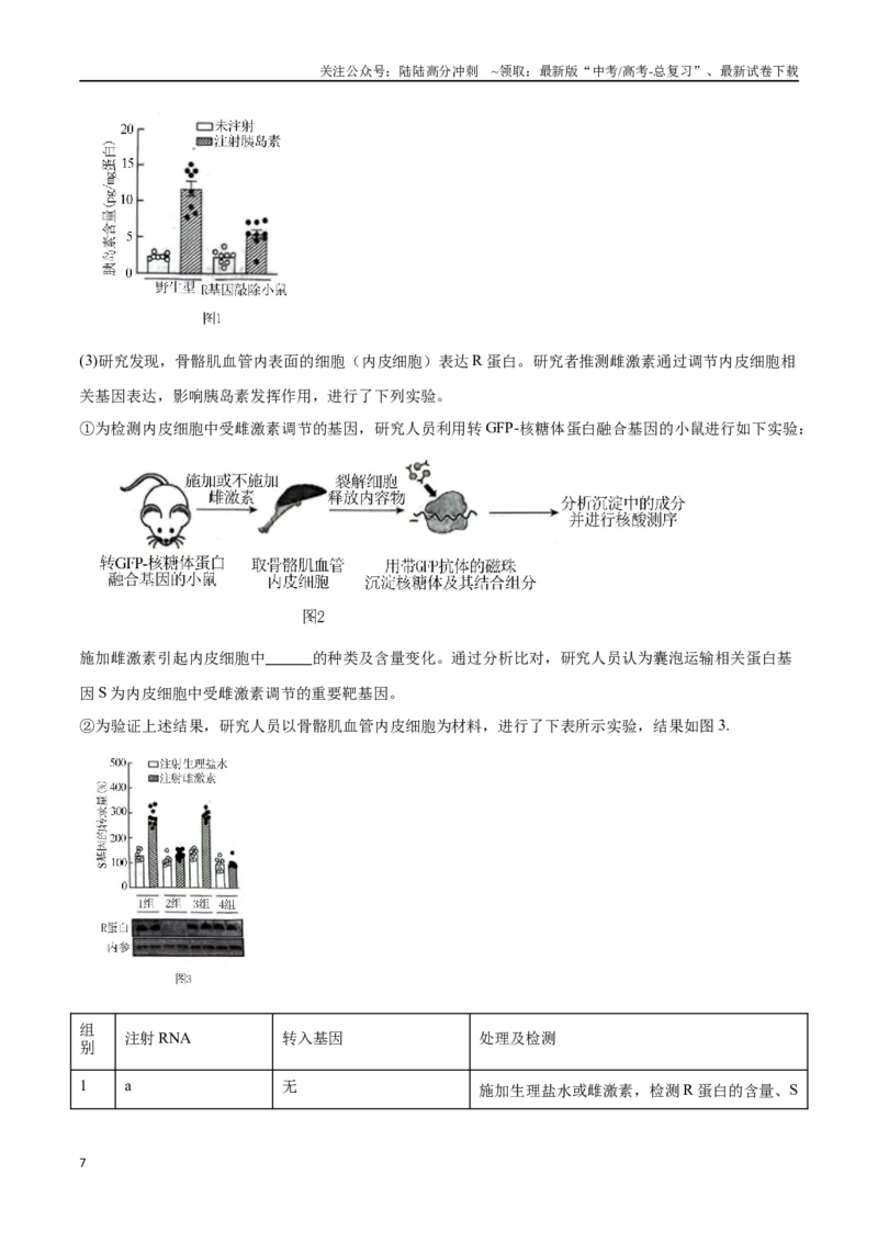 《专题02生命活动的调节（北京卷）（解析版）_06-生物-高考总复习_专项复习_2024年_2024年高考生物考前大题秒杀技巧及专项训练_资料》第7页预览