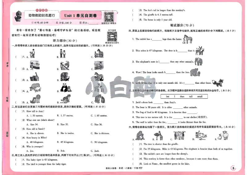 《6下英语人教PEP小白鸥周末小测卷(1)_小初高学习资料合集（每天更新）_2026春《小白鸥英语周末小测卷》3-6年级下册》第9页预览