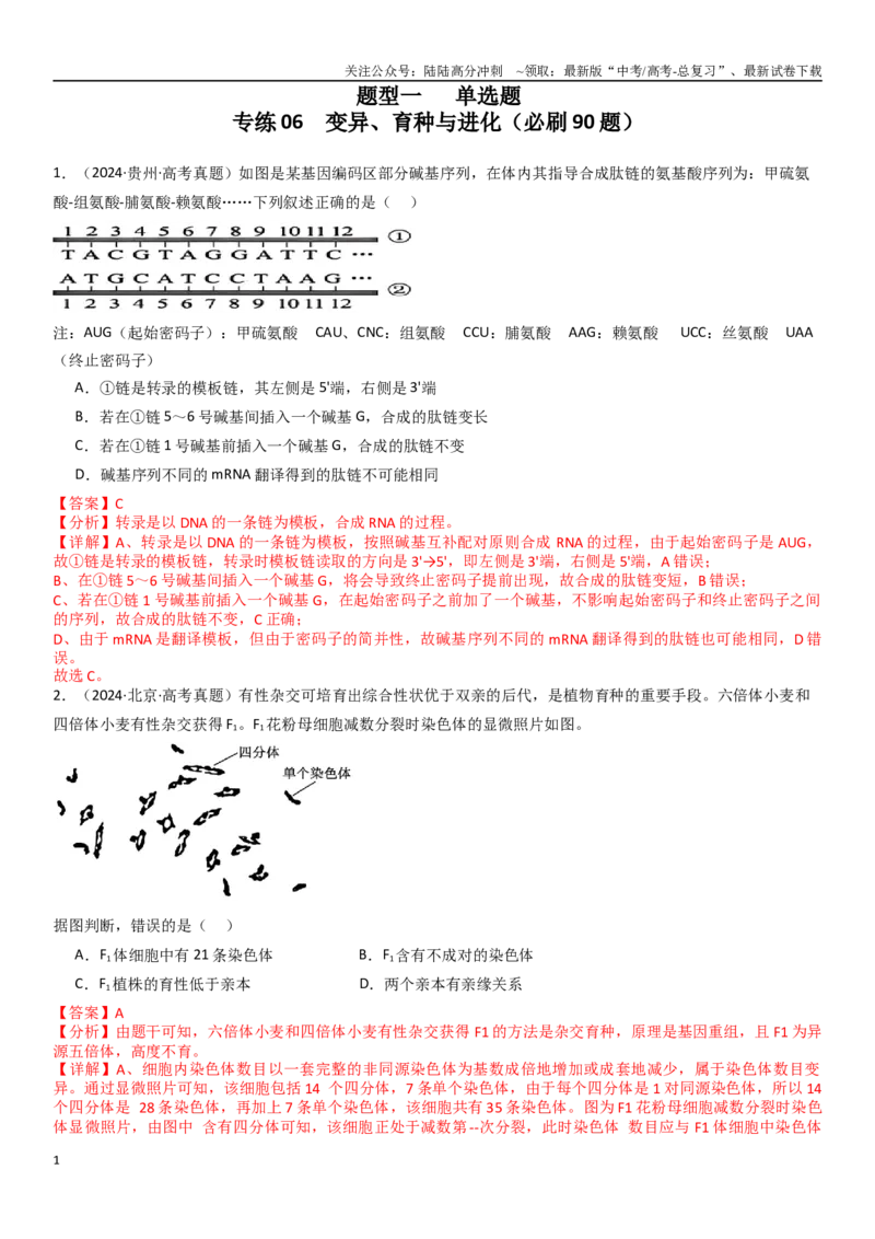 《专练06变异、育种与进化（90题）（教师版）_06-生物-高考总复习_专项复习_2024年_2024年新高考生物总复习高频考点必刷800题_2025版》第1页预览