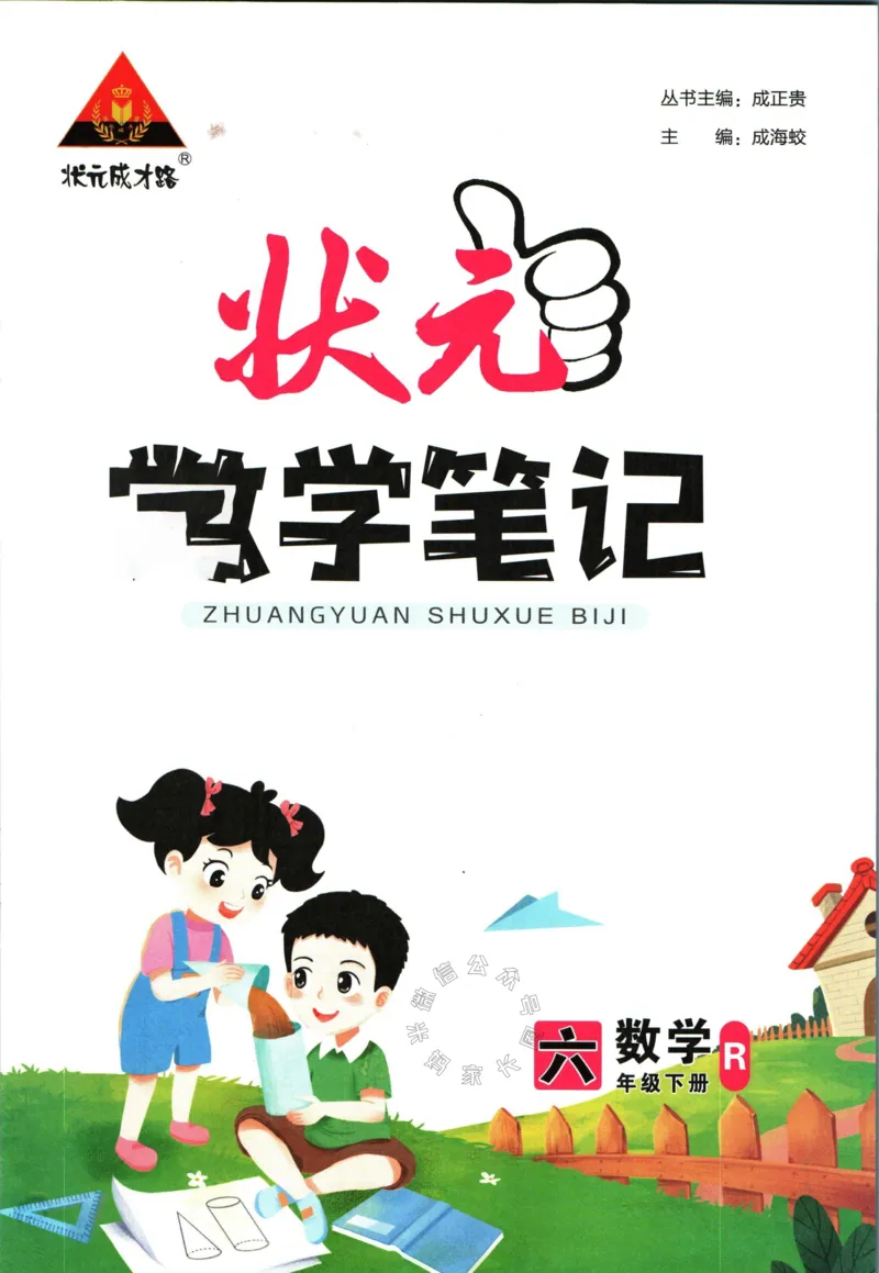 《005.人教版数学状元笔记六年级下册_小学1-6年级全科全套_1-6年级全科下册_六年级_其他补充资料_数学人教版资料》第3页预览