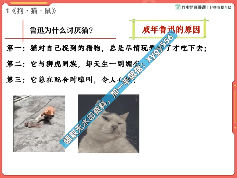 《02.课堂笔记主讲课中笔记_2025初一网课_25初一语文_25初一董俣语文（作业帮）_暑期班A+班_课堂笔记》第6页预览