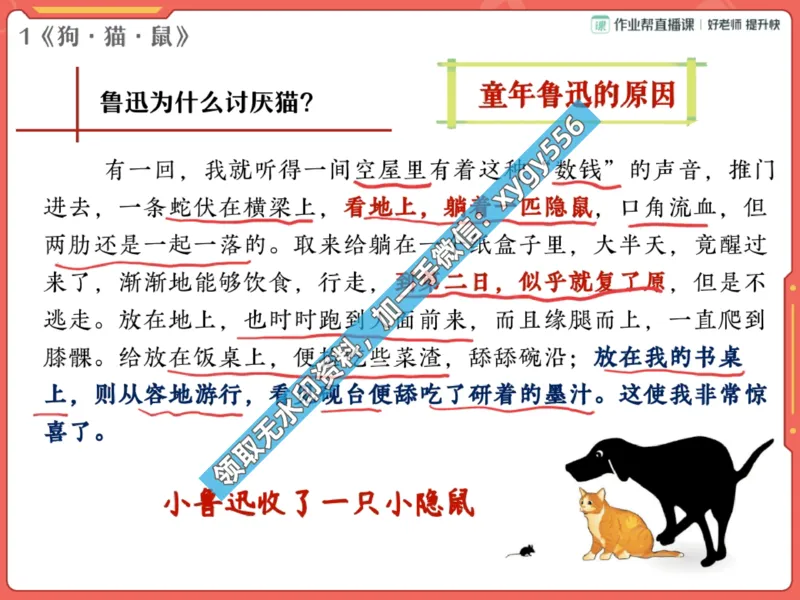 《02.课堂笔记主讲课中笔记_2025初一网课_25初一语文_25初一董俣语文（作业帮）_暑期班A+班_课堂笔记》第7页预览