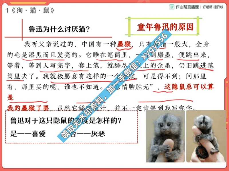 《02.课堂笔记主讲课中笔记_2025初一网课_25初一语文_25初一董俣语文（作业帮）_暑期班A+班_课堂笔记》第8页预览