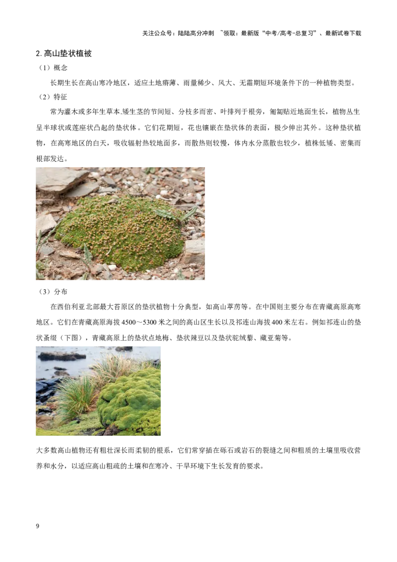 《07垂直自然带与特殊植被-地理一轮复习热点情境知识扫盲+考向预测（解析版）_07-地理-高考总复习_一轮复习_2024年_2024高考地理一轮复习讲义热点情境知识梳理_资料》第9页预览
