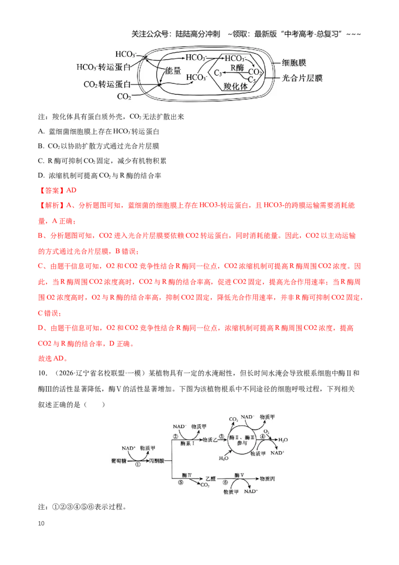 《专题02细胞的能量供应和利用（教师版）_06-生物-高考总复习_专项复习_2026年-生物高考专项复习_2026年高考生物一模试题分类汇编（黑吉辽蒙专用）-G238_2026版》第10页预览