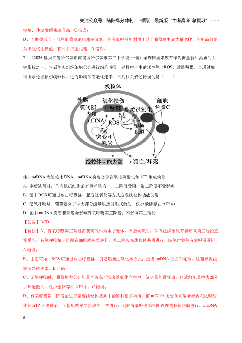 《专题02细胞的能量供应和利用（教师版）_06-生物-高考总复习_专项复习_2026年-生物高考专项复习_2026年高考生物一模试题分类汇编（黑吉辽蒙专用）-G238_2026版》第8页预览