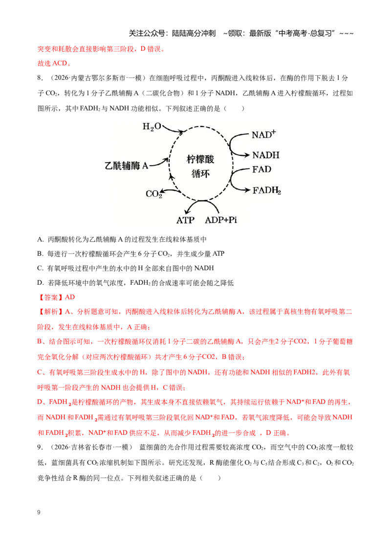 《专题02细胞的能量供应和利用（教师版）_06-生物-高考总复习_专项复习_2026年-生物高考专项复习_2026年高考生物一模试题分类汇编（黑吉辽蒙专用）-G238_2026版》第9页预览