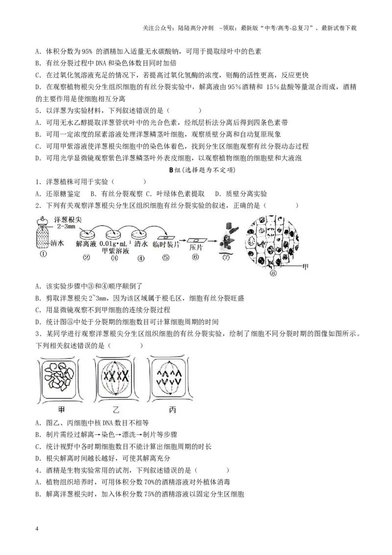 《专题03细胞的生命历程相关实验（原卷版）_06-生物-高考总复习_专项复习_2024年_2024年高考生物教材实验梳理与突破实验攻略全国用_资料》第4页预览