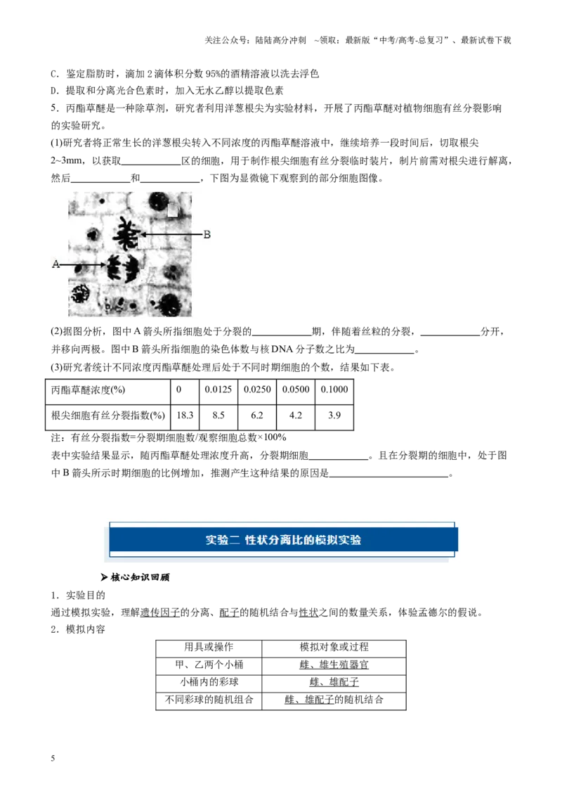 《专题03细胞的生命历程相关实验（原卷版）_06-生物-高考总复习_专项复习_2024年_2024年高考生物教材实验梳理与突破实验攻略全国用_资料》第5页预览
