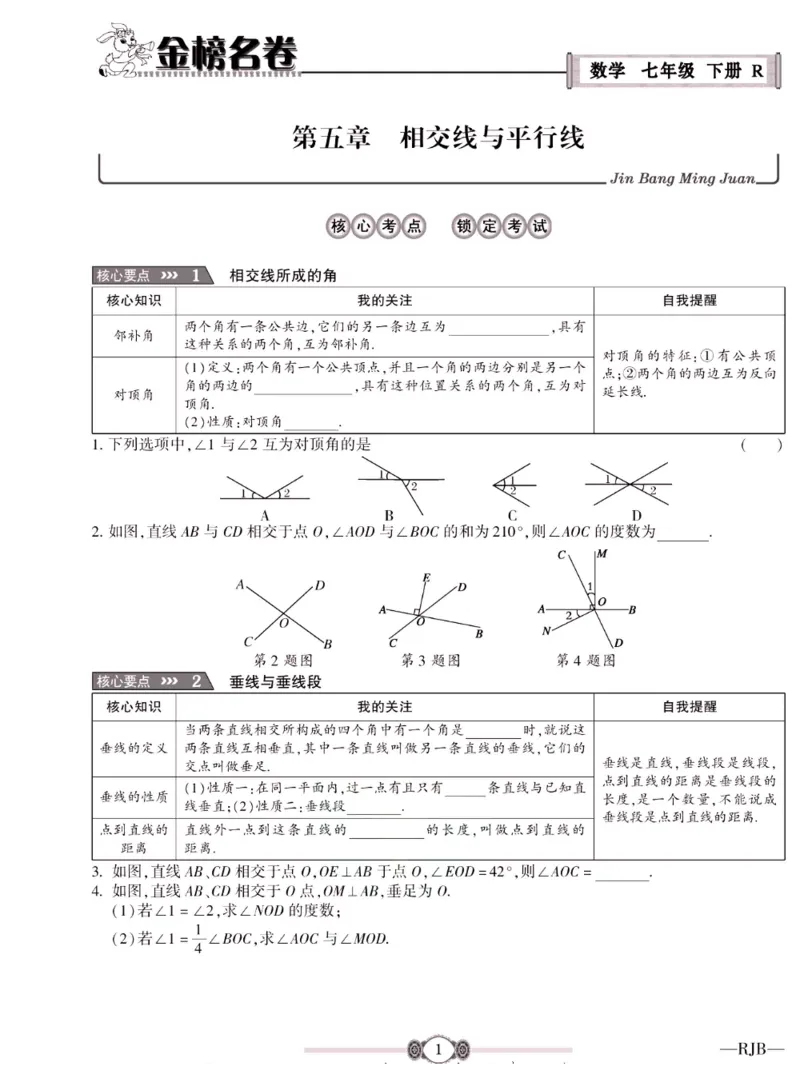 《金榜名卷七年级下册数学人教版_初中全科目同步习题+精品试卷（7-9年级）(1)_25秋初中数学《同步习题+精品试卷》_初中数学人教版试卷_初中数学人教版7-9年级下册_《金榜名卷》》第3页预览