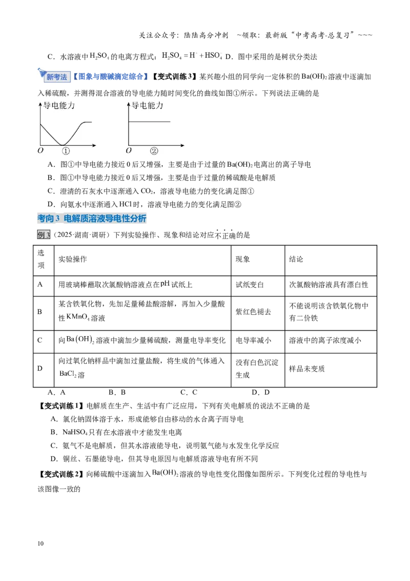 《第02讲离子反应、离子方程式（复习讲义）（湖南专用）（学生版）_05-化学-高考总复习_一轮复习_2026年-化学高考一轮复习_2026年高考化学一轮课件+讲义+练习（湖南专用）-G331》第10页预览